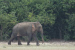 Notes on Field Trips Wilpattu National Park