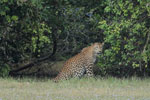 Notes on Field Trips Wilpattu National Park