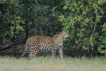 Notes on Field Trips Wilpattu National Park