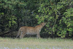 Notes on Field Trips Wilpattu National Park