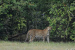 Notes on Field Trips Wilpattu National Park