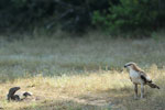 Notes on Field Trips Wilpattu National Park