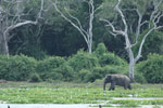 Notes on Field Trips Wilpattu National Park