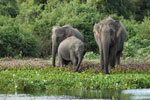 Notes on Field Trips Wilpattu National Park