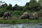 Notes on Field Trips Wilpattu National Park