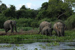 Notes on Field Trips Wilpattu National Park