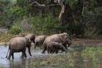 Notes on Field Trips Wilpattu National Park