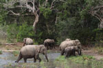 Notes on Field Trips Wilpattu National Park