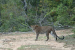 Notes on Field Trips Wilpattu National Park