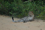 Notes on Field Trips Wilpattu National Park