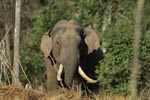 Notes on Field Trips Wilpattu National Park