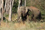 Notes on Field Trips Wilpattu National Park