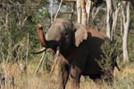 Notes on Field Trips Wilpattu National Park