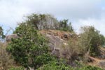 Notes on Field Trips Wilpattu National Park