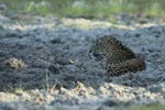 Notes on Field Trips Wilpattu National Park