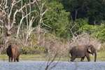 Wilpattu National Park 28th - 29th November 2020