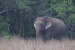 Notes on Field Trips Wilpattu National Park