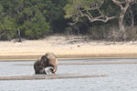 Notes on Field Trips Wilpattu National Park