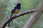 Notes on Field Trips Wilpattu National Park