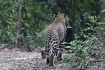 Notes on Field Trips Wilpattu National Park