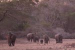 Notes on Field Trips Wilpattu National Park