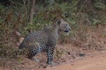 Notes on Field Trips Wilpattu National Park