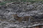 Notes on Field Trips Wilpattu National Park