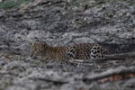 Notes on Field Trips Wilpattu National Park