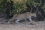 Notes on Field Trips Wilpattu National Park