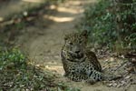 Notes on Field Trips Wilpattu National Park