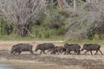 Wilpattu National ParkPark 29th – 30th June 2019