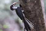 Wilpattu National Park 29th to 30th June 2024
