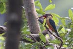 Wilpattu National Park 29th December 2022