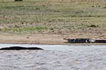 Wilpattu National Park 30th to 31st August 2025