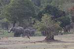 Wilpattu National Park 30th to 31st August 2025