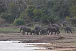 Wilpattu National Park 30th to 31st August