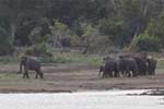 Wilpattu National Park 30th to 31st August