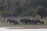 Wilpattu National Park 30th to 31st August