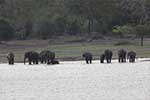 Wilpattu National Park 30th to 31st August