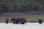 Wilpattu National Park 30th to 31st August