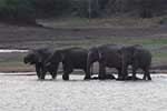 Wilpattu National Park 30th to 31st August