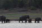 Wilpattu National Park 30th to 31st August