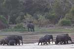 Wilpattu National Park 30th to 31st August