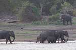 Wilpattu National Park 30th to 31st August