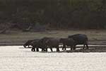Wilpattu National Park 30th to 31st August