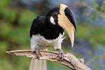 Wilpattu National Park 30th to 31st August