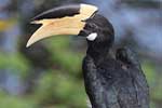 Wilpattu National Park 30th to 31st August
