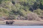 Wilpattu National Park 30th to 31st August