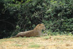 Wilpattu National Park