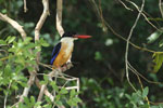 Wilpattu National Park